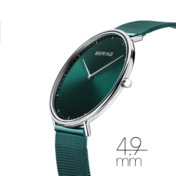 Bering 15739-808