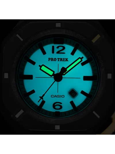 Casio PRJ-01-1DR